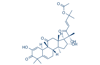 cucurbitacin E